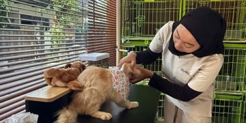 Lebaran, Kandang Penitipan Allovet Hampir Penuh