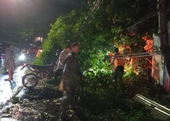 BPBD Kabupaten Kediri Turunkan Personel Evakuasi Pohon Tumbang Timpa Rumah Warga