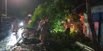 BPBD Kabupaten Kediri Turunkan Personel Evakuasi Pohon Tumbang Timpa Rumah Warga