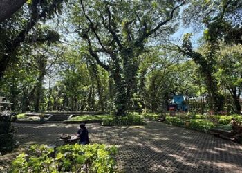 Taman Hutan Joyoboyo, Hutan Kota Edukatif dengan Koleksi Anggrek Khas Kediri