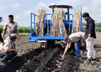 Selamatan Tanam Perdana 2026, MKSO Kebun Dhoho Terapkan Program Operational Excellent