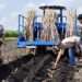 Selamatan Tanam Perdana 2026, MKSO Kebun Dhoho Terapkan Program Operational Excellent