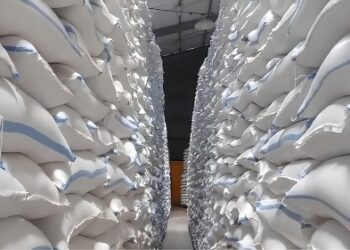 Hadapi El Nino, Bulog Kediri Pastikan Stok Beras Aman Untuk 14 Bulan