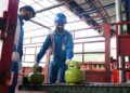 Long Weekend, Pertamina Patra Niaga Tambah Lebih Dari 700 Ribu Tabung LPG 3 Kg di Jatim