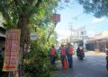 Pohon Tumbang Dipicu Cuaca Ekstrem, DLHKP Kota Kediri Tingkatkan Pemangkasan Rutin