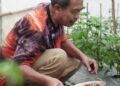 Wali Kota Kediri Dorong Pemanfaatan Lahan Kosong untuk Ketahanan Pangan dan Gizi