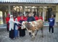 Rawat Semangat Gotong Royong, PDI Perjuangan Kabupaten Kediri Distribusikan 4 Ekor Sapi Kurban