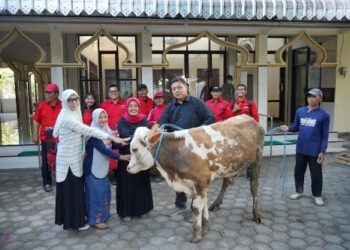 Rawat Semangat Gotong Royong, PDI Perjuangan Kabupaten Kediri Distribusikan 4 Ekor Sapi Kurban