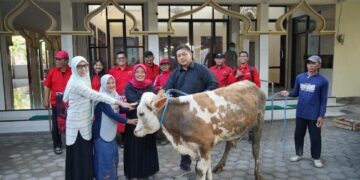 Rawat Semangat Gotong Royong, PDI Perjuangan Kabupaten Kediri Distribusikan 4 Ekor Sapi Kurban