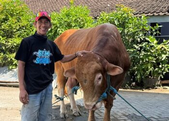 Meski Kaget, Imam Basori Bangga Sapinya Dibeli Presiden