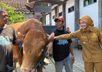 Di Kota Kediri, Sapi Kurban Presiden Diserahkan ke Masjid Darunnajach Kota Kediri