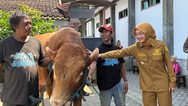 Di Kota Kediri, Sapi Kurban Presiden Diserahkan ke Masjid Darunnajach Kota Kediri