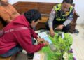 Jambore Ranting Pesantren, Pramuka Siap Jadi Pelopor Petani Milenial – Tangguh Bencana