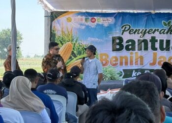 Pemkab Kediri Salurkan 200 Ton Benih Jagung untuk 683 Kelompok Tani