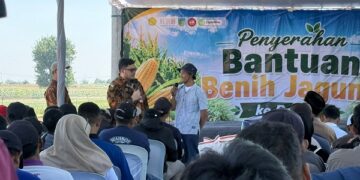 Pemkab Kediri Salurkan 200 Ton Benih Jagung untuk 683 Kelompok Tani