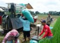 Bulog Kediri Lampaui Target Serapan 2026, Amankan 73.561 Ton Beras Sebelum Akhir Tahun