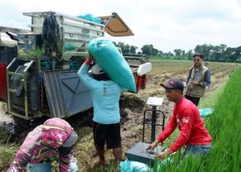 Bulog Kediri Lampaui Target Serapan 2026, Amankan 73.561 Ton Beras Sebelum Akhir Tahun