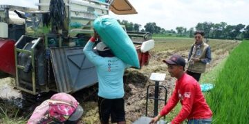 Bulog Kediri Lampaui Target Serapan 2026, Amankan 73.561 Ton Beras Sebelum Akhir Tahun