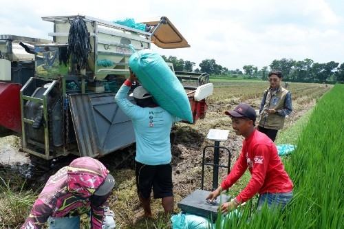 Bulog Kediri Lampaui Target Serapan 2026, Amankan 73.561 Ton Beras Sebelum Akhir Tahun
