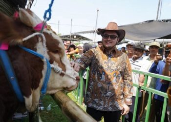 Targetkan Jadi Terbaik se-Jatim, Mas Dhito Dorong Kontes Sapi Kabupaten Kediri Bisa Digelar Tiap Tahun