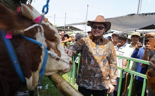 Targetkan Jadi Terbaik se-Jatim, Mas Dhito Dorong Kontes Sapi Kabupaten Kediri Bisa Digelar Tiap Tahun
