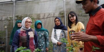 Curi Perhatian Pusat, Mbak Cicha Dampingi Menteri PPPA Kunjungi P2L Desa Tertek