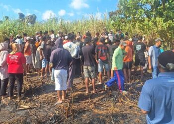Petani Tewas Saat Bakar Lahan Tebu di Mojo Kediri