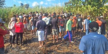 Petani Tewas Saat Bakar Lahan Tebu di Mojo Kediri