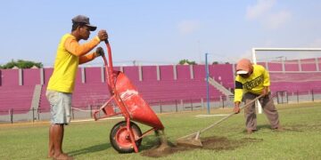 Stadion Brawijaya Bersiap Sambut Musim Baru, Mulai Rumput Sampai Tribun Dipercantik